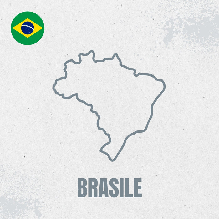 Brasile