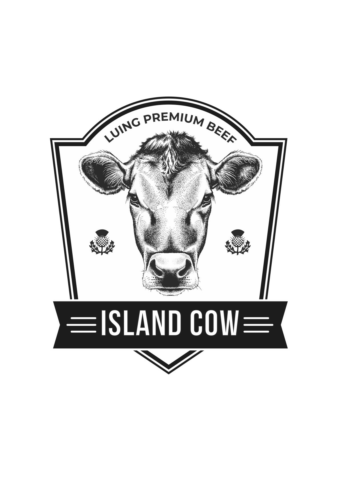Ribeye Island Cow - Luing Premium Beef